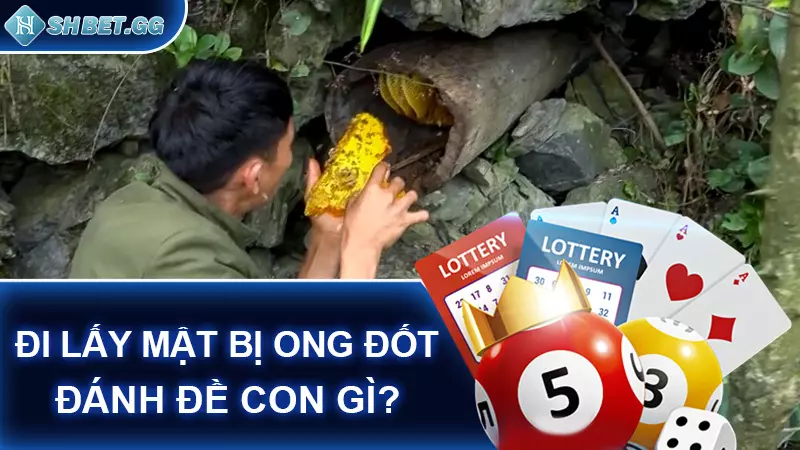 Giải mã bị ong đốt đánh đề con gì cho chính xác 6 Đi lấy mật bị ong đốt đánh đề con gì?