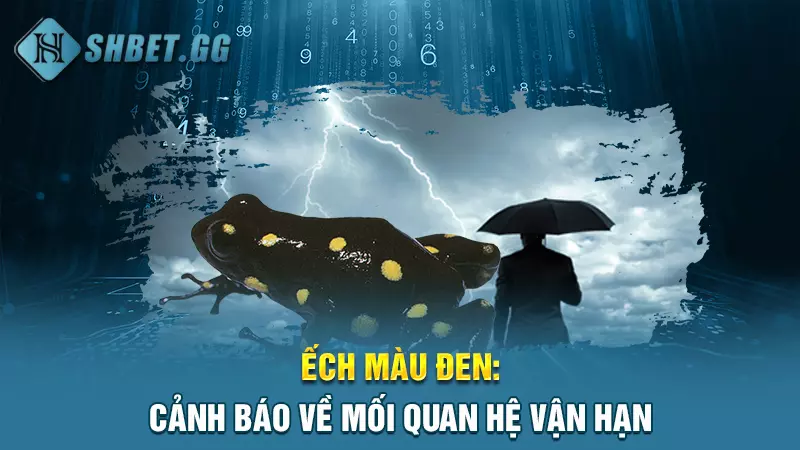 Điềm báo may mắn: Mơ con ếch đánh đề số mấy chuẩn nhất? 7 Ếch màu đen: Cảnh báo về mối quan hệ vận hạn